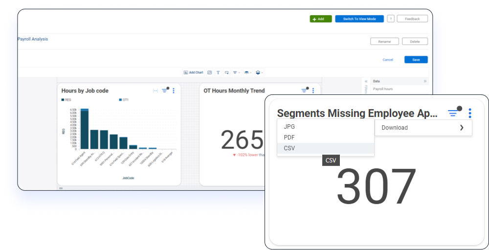 Humanity Schedule Analytics dashboard