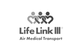 lifelink logo