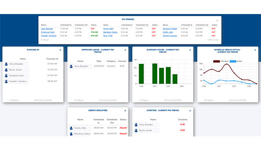 TimeCo Features TimeAttendance CustomizedDashboard
