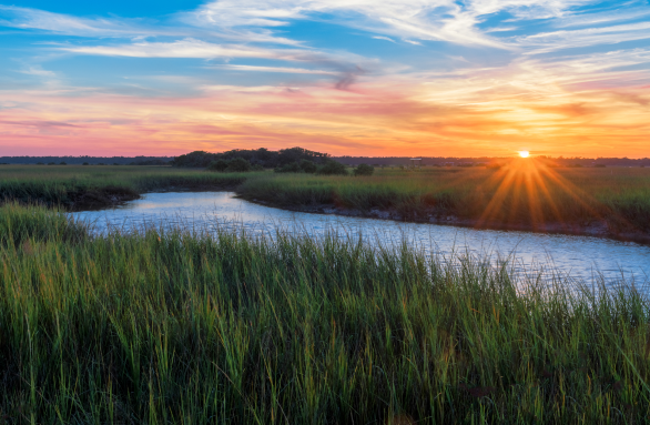 tall grass and river with sunset sky in the background